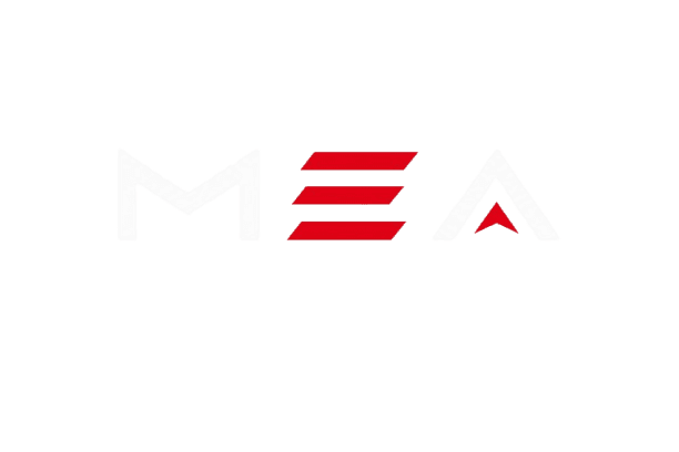 Mongolian Esport Academy